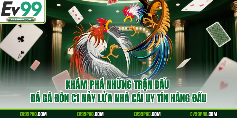 Khám phá những trận đấu đá gà đòn C1 nảy lửa nhà cái uy tín hàng đầu